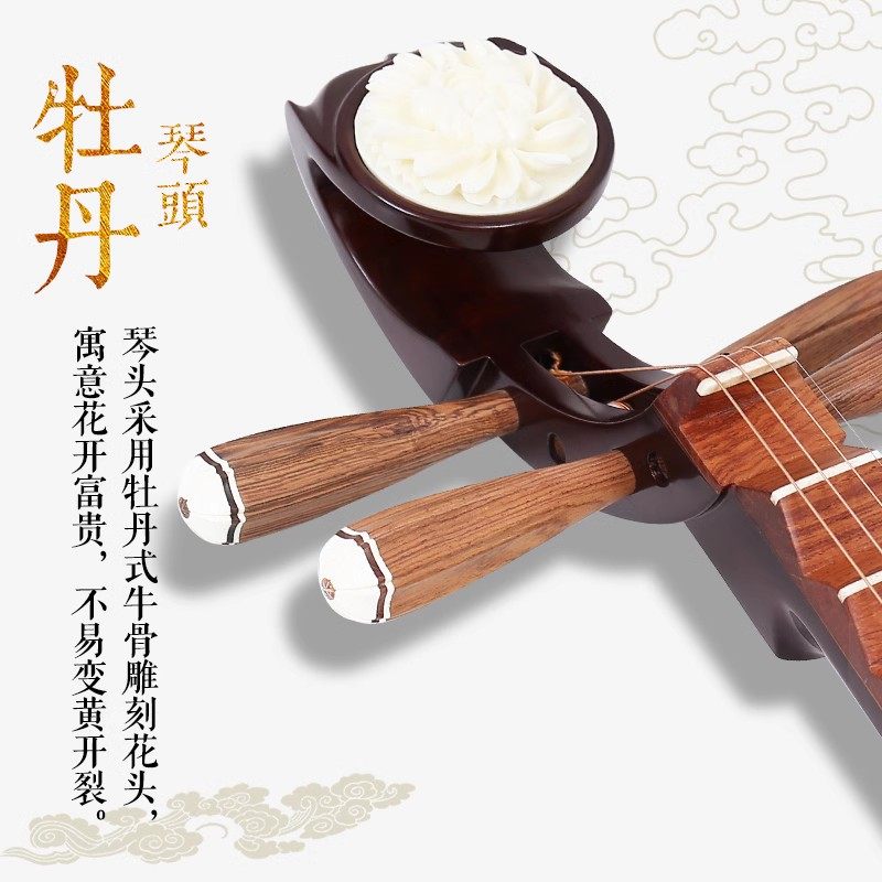  艺钛客乐器琵琶