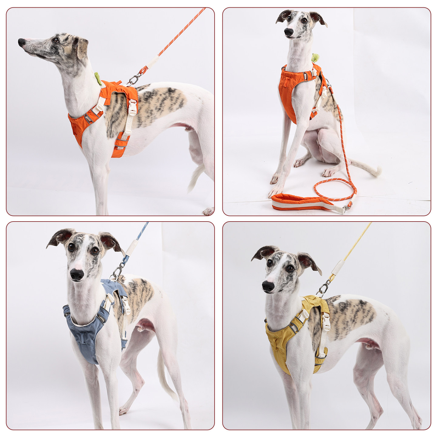 doglemi宠物潮尚舒适透气轻盈遛狗胸背牵引套装小中大型犬适用,淘宝优惠券,粉丝福利购,淘宝优惠卷