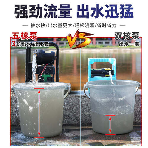 充电式抽水泵大流量农用浇地灌溉浇菜户外抗旱大功率井水自吸 - 图0