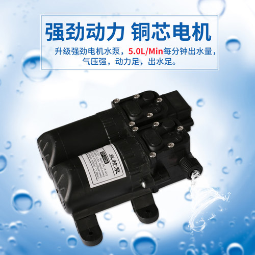 电动喷雾器背负式双泵高压12v多功能锂电池农用果树打农药机 - 图0