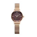 Маленькая изысканная сумка, швейцарские часы, легкий роскошный стиль