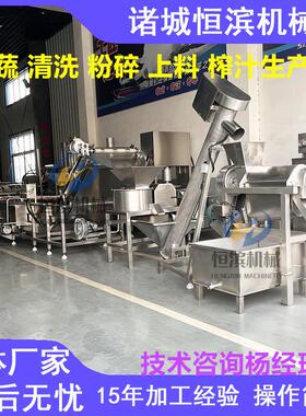 刺梨榨汁整套设备生产线果蔬加工流水线杨梅果汁压榨机