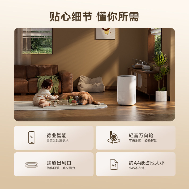 Hot product upgrade Deye dehumidifier whole house powerful dehumidification