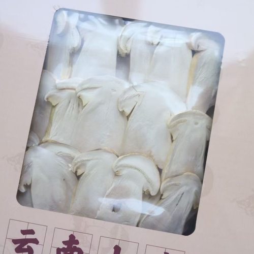 FD冻干松茸片20克松茸干货盒装礼盒装蘑菇云南特产煲汤食材 - 图2