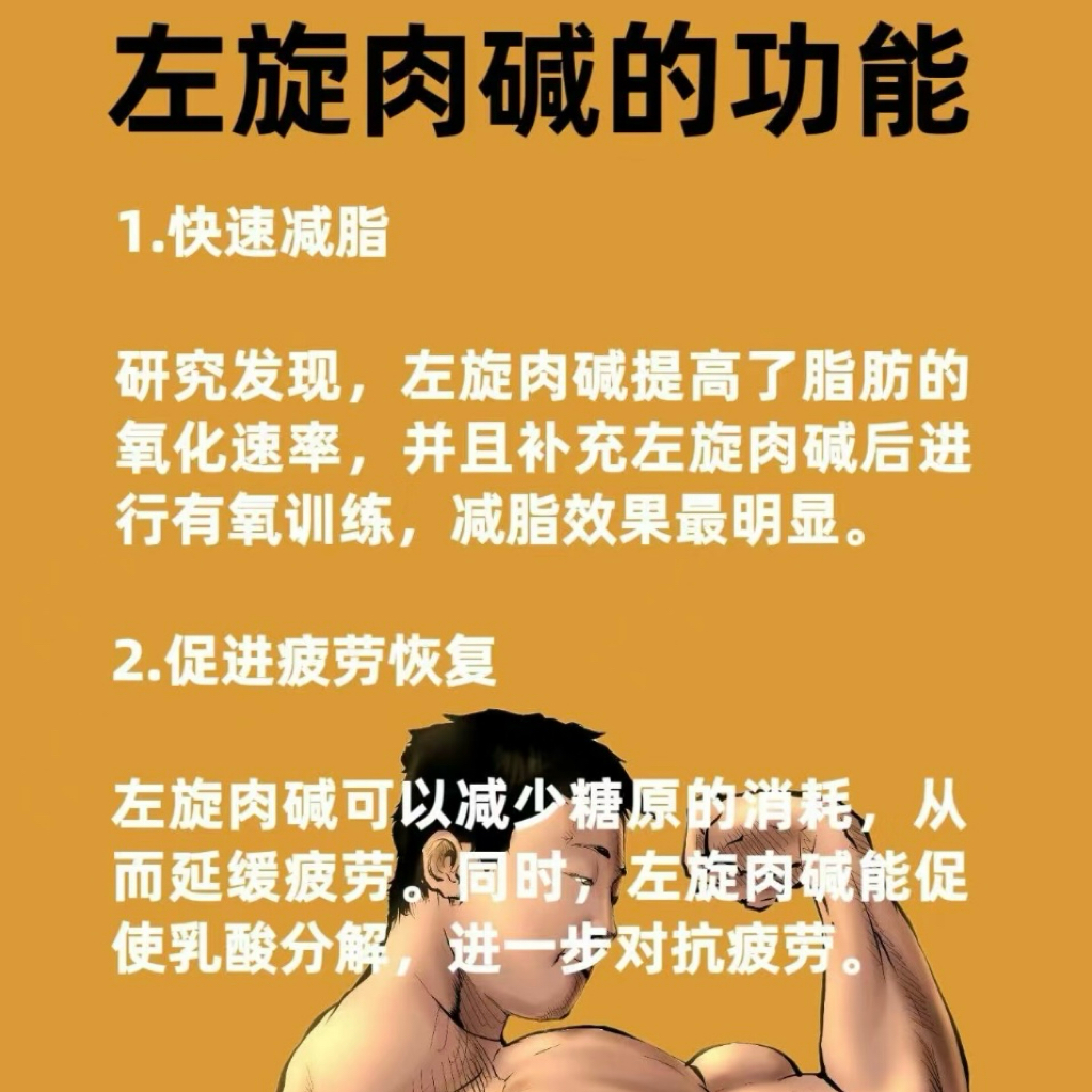 左旋肉碱粉carnitine健身补剂运动食品级L-肉碱脂肪终结者卡尼丁 - 图0