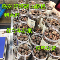 New mountain walnut Linan extra-large good to peel wild black walnut canned large shell thin water to cook nut pretzels carbon toasted