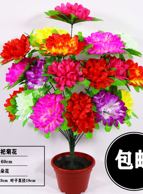 新款仿真菊帝王菊花高仿真真花枝