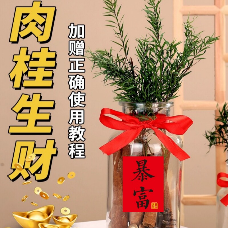 肉桂生财摆件玻璃瓶招财进宝小红书款办公桌客厅玄关卧室乔迁新居,淘宝优惠券,粉丝福利购,淘宝优惠卷