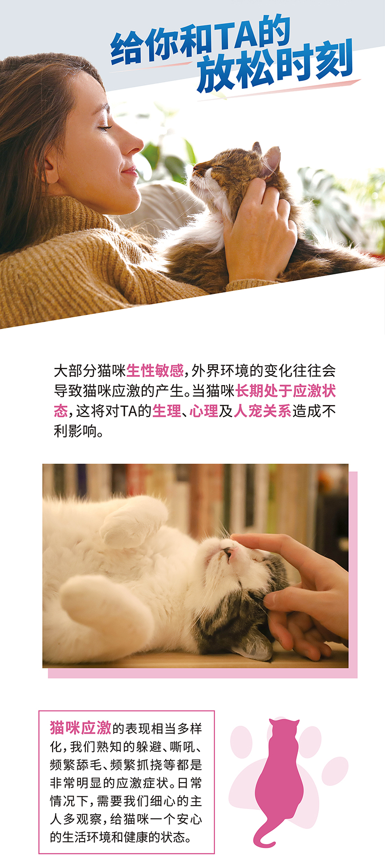 舒欣宝 牛初乳抗焦虑肽宠物营养补充剂 猫咪抗焦虑防应激外出缓解 - 图0