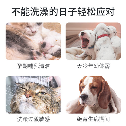 宠物免洗手套狗狗洗澡神器清洁干洗刷猫咪专用擦脚湿巾狗搓澡用品 - 图2