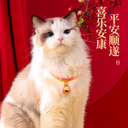 猫咪项圈新年猫铃铛长命锁围脖狗狗猫猫脖子饰品装饰脖圈宠物项链 - 图1