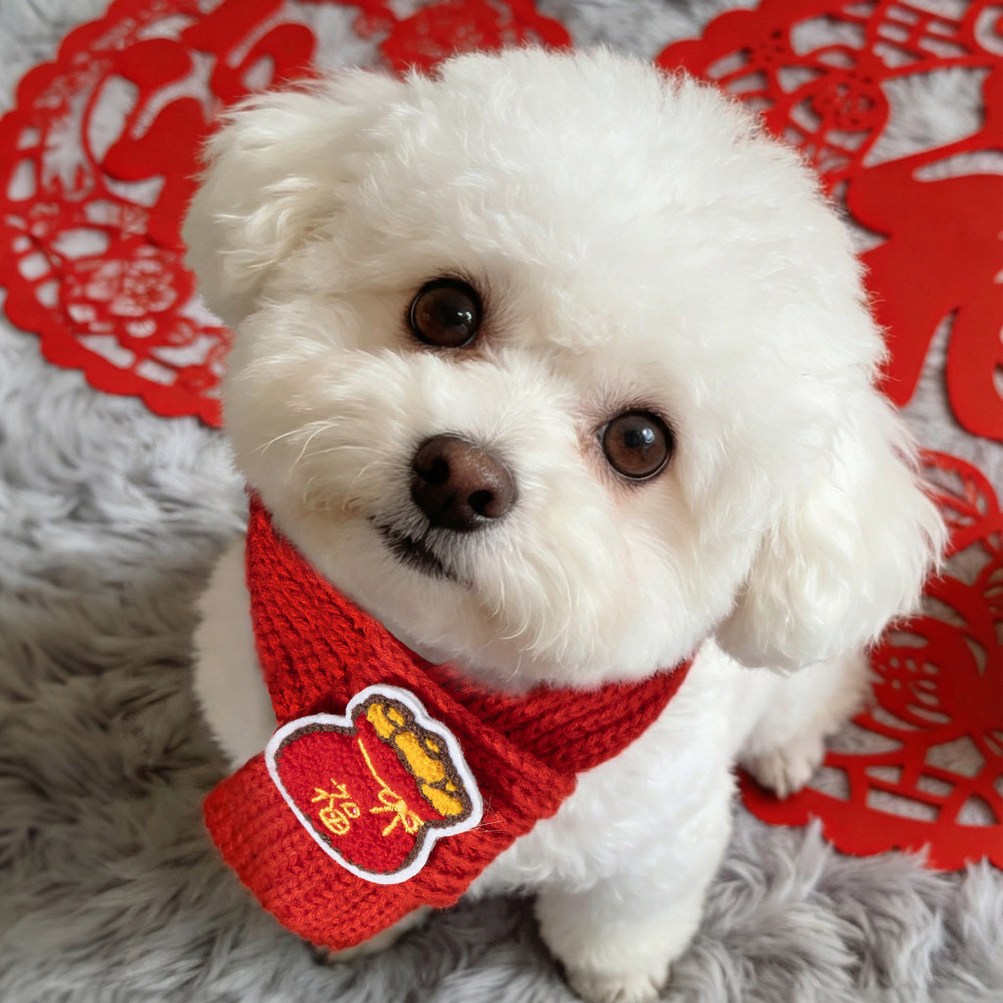 猫咪围脖小狗可爱项圈毛线宠物围巾围兜狗狗保暖配饰红色喜庆新年,淘宝优惠券,粉丝福利购,淘宝优惠卷