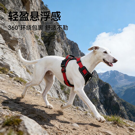 Large dog explosion-proof outdoor harness
