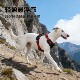 Large dog explosion-proof outdoor harness