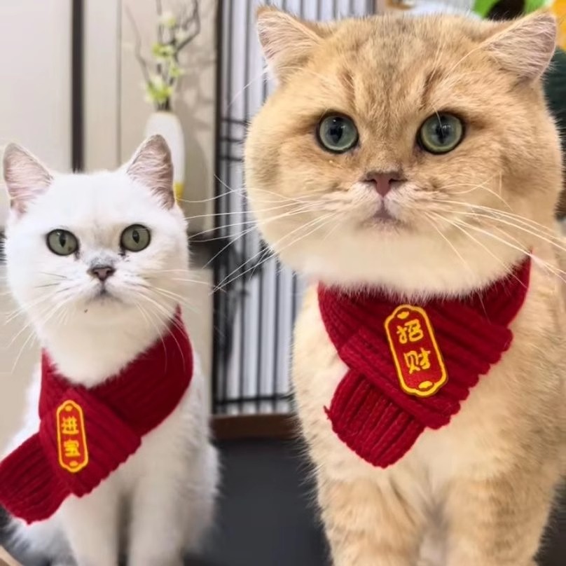 猫咪围脖小狗可爱新品毛线宠物围巾围兜狗狗保暖配饰红色喜庆新年