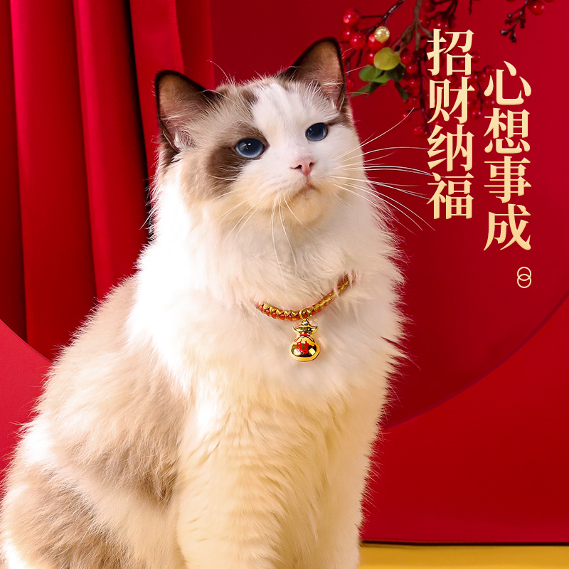 猫咪项圈新年猫铃铛长命锁围脖狗狗猫猫脖子饰品装饰脖圈宠物项链-图2