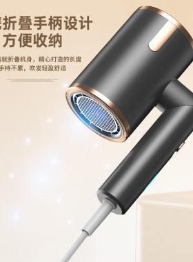 electric air blower hair driers blow drier hot hairdryer///