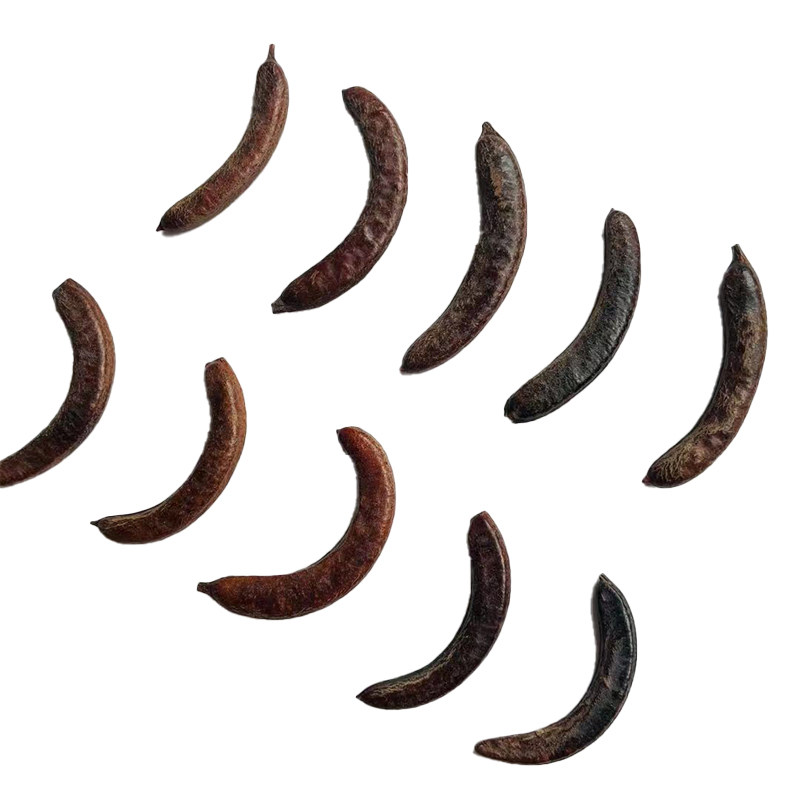 【皂荚果】植物标本果实果壳 创意复古干花环相框diy材料 幼儿园,淘宝优惠券,粉丝福利购,淘宝优惠卷