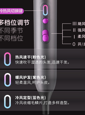 110V大功率负离子电吹风