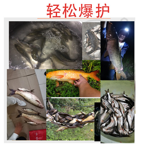 天网牛P鲫PK鲫鲤VB钓得多野战王香精泡自配酒米窝料添加剂鱼饵 - 图2