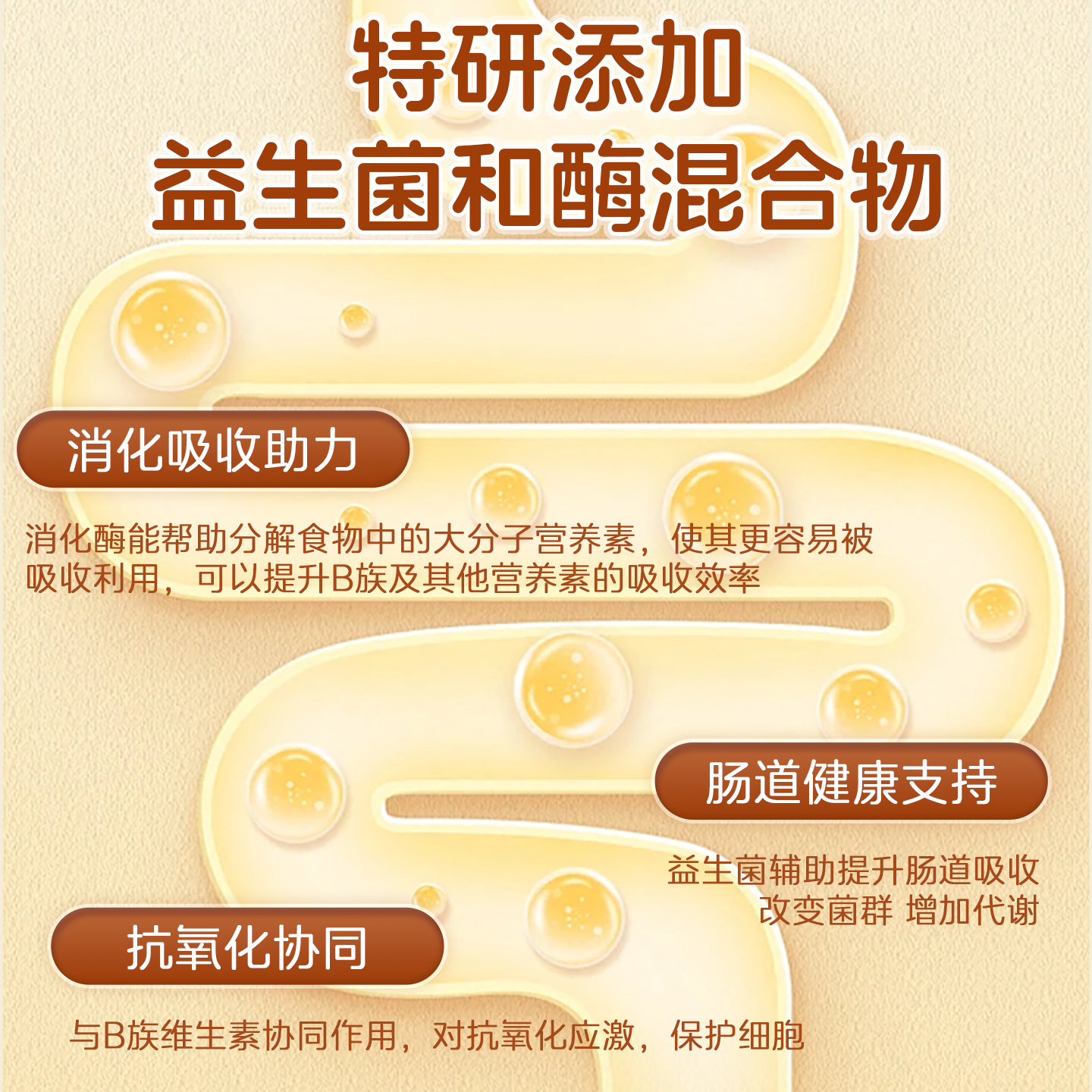 美国进口品牌多种复合片维生素b族d3vc矿物质b1b2b6成人保健品le,淘宝优惠券,粉丝福利购,淘宝优惠卷