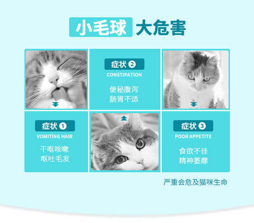 新宠之康猫咪专用化毛球营养膏吐毛膏排出除去毛球化毛膏125g*2支 - 图1
