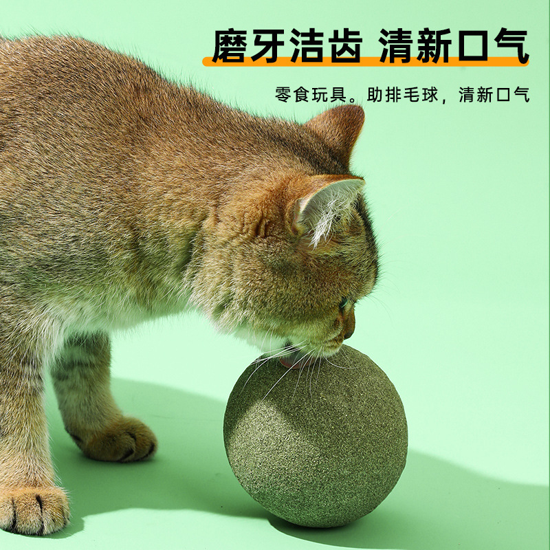 10cm超大猫薄荷球猫玩具逗猫棒自嗨解闷小猫幼猫磨牙猫咪用品 - 图2