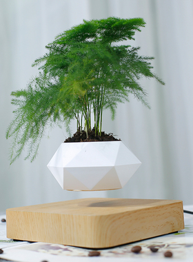 磁悬浮花盆简约创意客厅招财摆件栽家居diy多肉植物科技礼物漂浮