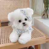 Эластичная мини-юбка, тонкая майка топ, цветочный принт, эффект подтяжки