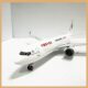 1100C919 passenger aircraft model