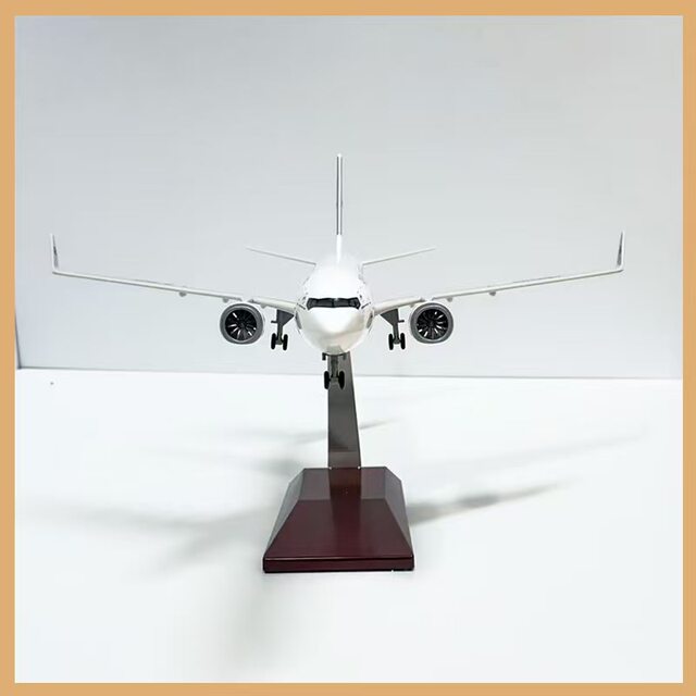 1100C919 passenger aircraft model
