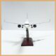 1100C919 passenger aircraft model
