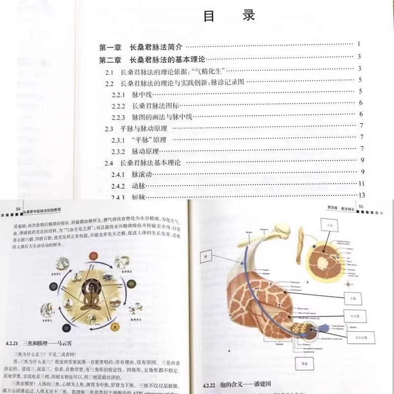 官方正版 长桑君中医脉法初级教程 中医基础理论数据健康衍生传统文化脉诊 中医临床诊疗指南脉诊医学就会 正版书籍中医书 - 图1