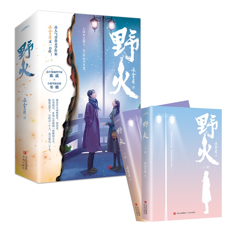 【新增番外+海报+明信片+书签】野火小说全2册晋江人气作者云拿月著青春文学言情小说书籍正版小清欢偷偷藏不住悦读纪-图2