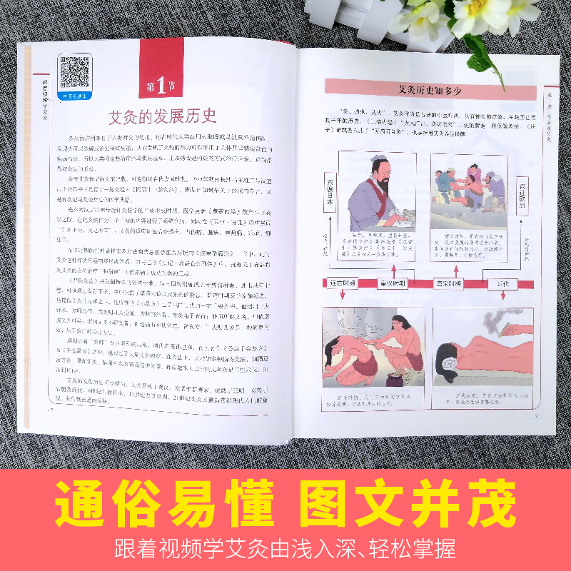 跟着视频学艾灸+视频讲透中药材全图鉴正版+金匮要略3册中草药大全中药材识别图鉴书籍中医入门药材植物彩图中医大全书中草药图鉴 - 图1