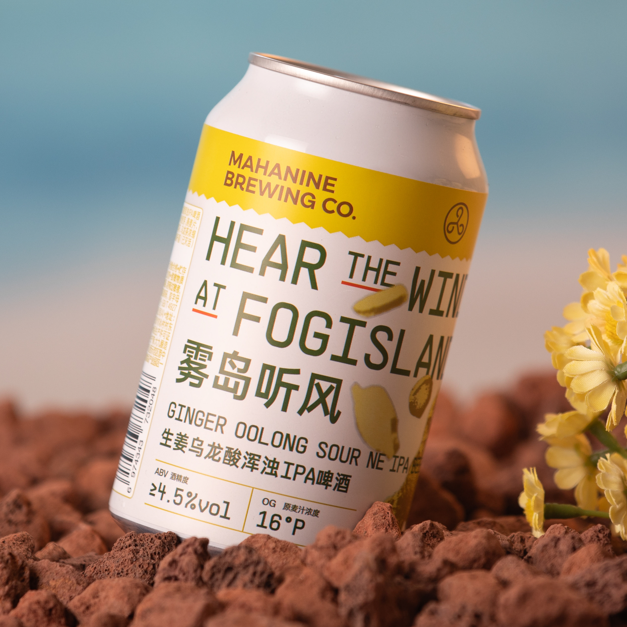 大九酿造 雾岛听风生姜乌龙酸浑浊IPA国产精酿啤酒350ml*6罐 - 图0