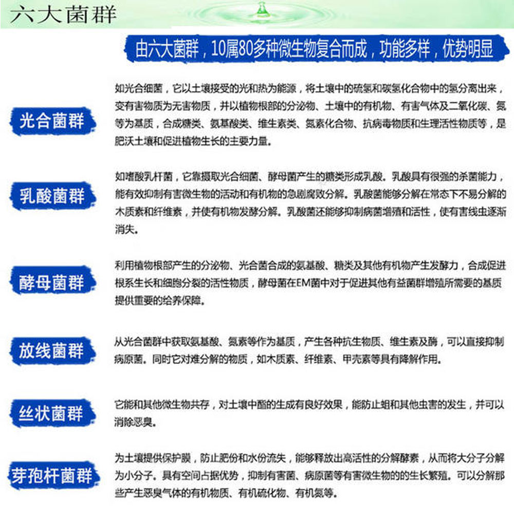 特价sistan森田EM菌 种植专用型益生菌日本技术5公斤有机生物菌肥 - 图2