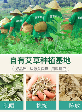 600g艾草艾叶 端午采摘袋装南阳艾草叶干艾叶泡脚艾草包厂家