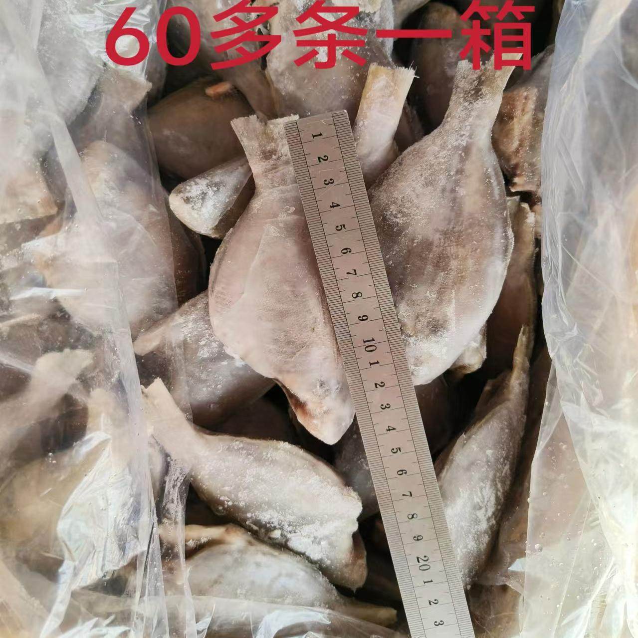冷冻深海新鲜 香鱼 三去香鱼 肉鲳鱼 带冰十三斤一箱可顺丰包邮,淘宝优惠券,粉丝福利购,淘宝优惠卷
