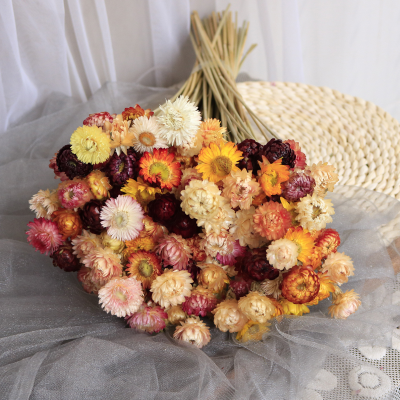 玫瑰满天星雏菊干花真花风干花束家居装饰摆设挂件拍摄ing北欧风