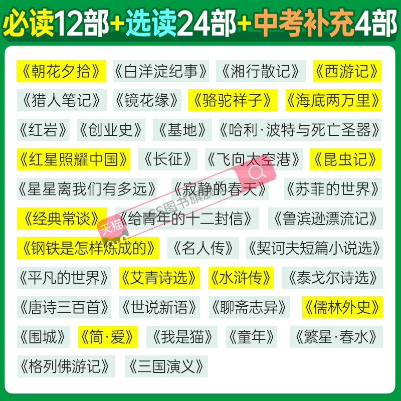 2024正版初中名著导读考点精练人教版中考冲刺名著阅读理解专项训练课外阅读中外文学详解pass绿卡图书考点同步解读备考资料 - 图1