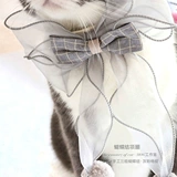 Mog Bows Circle Circle Cat, собака, ход сказочного джентльмена