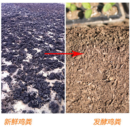 纯干鸡粪肥料发酵有机肥花卉种植土营养土蔬菜有机肥料养花土腐熟 - 图0