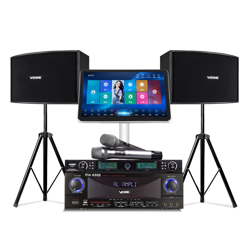  voseKTV/卡拉OK音箱