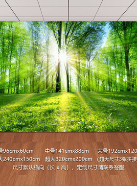 墙贴壁画壁纸风景画山水画背景墙