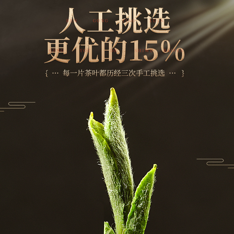 2024新茶霍山黄芽明前头采特级嫩芽黄茶高山原产地春茶散装茶叶