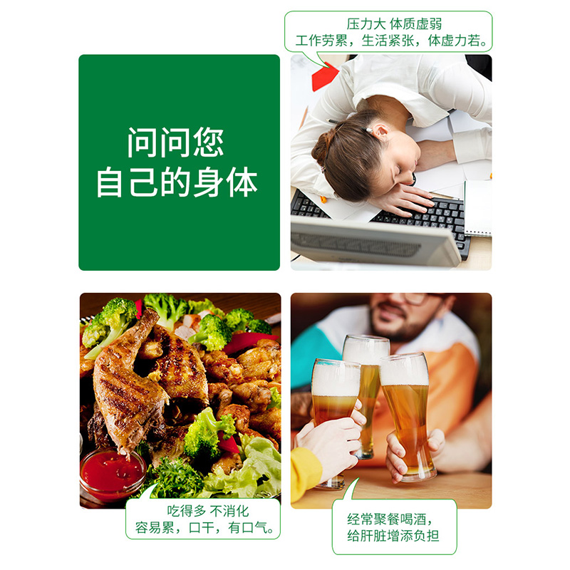 Salus莎露斯德国水飞蓟朝鲜蓟护肝液解酒滋补肝脏口服液250ml*1