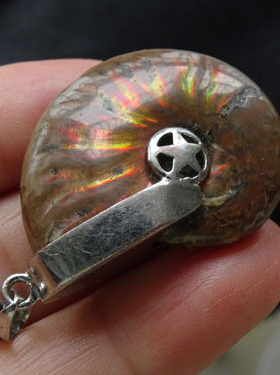 化石天然吊坠毛衣链斑彩螺