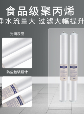 20寸尖头滤芯售水机前四级用插口