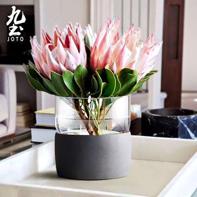 九土玻璃花瓶透明花器装饰摆件简约插花水培多肉花盆创意直筒北欧 虎窝淘
